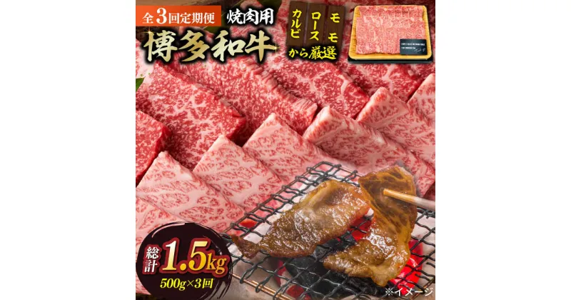 【ふるさと納税】【全3回定期便】【和牛の旨味を堪能！】博多和牛焼肉用 500g《築上町》【株式会社MEAT PLUS】51000円 [ABBP033]