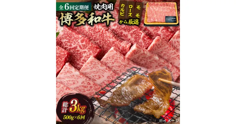 【ふるさと納税】【全6回定期便】【和牛の旨味を堪能！】博多和牛焼肉用 500g《築上町》【株式会社MEAT PLUS】101000円 [ABBP034]