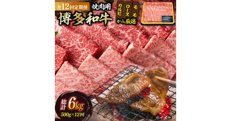 【ふるさと納税】【全12回定期便】【和牛の旨味を堪能！】博多和牛焼肉用 500g《築上町》【株式会社MEAT PLUS】201000円 [ABBP035]