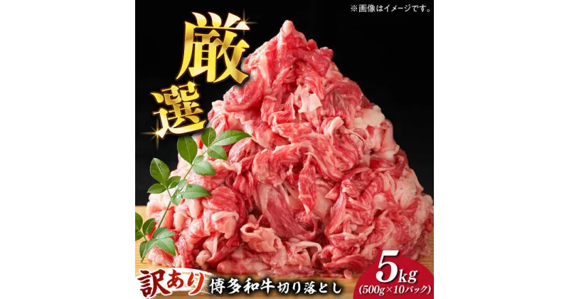 【ふるさと納税】【訳あり】博多和牛 切り落とし 5kg(500g×10p）《築上町》【株式会社MEAT PLUS】 54000円 [ABBP066]