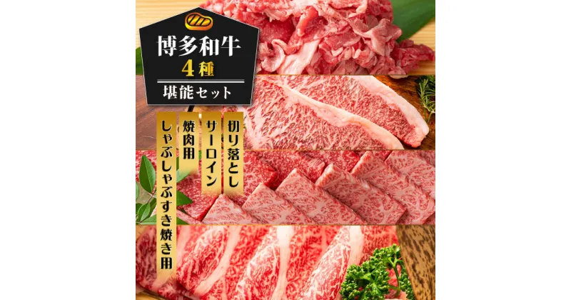 【ふるさと納税】博多和牛 堪能セット 《築上町》【株式会社MEAT PLUS】57000円 [ABBP117]