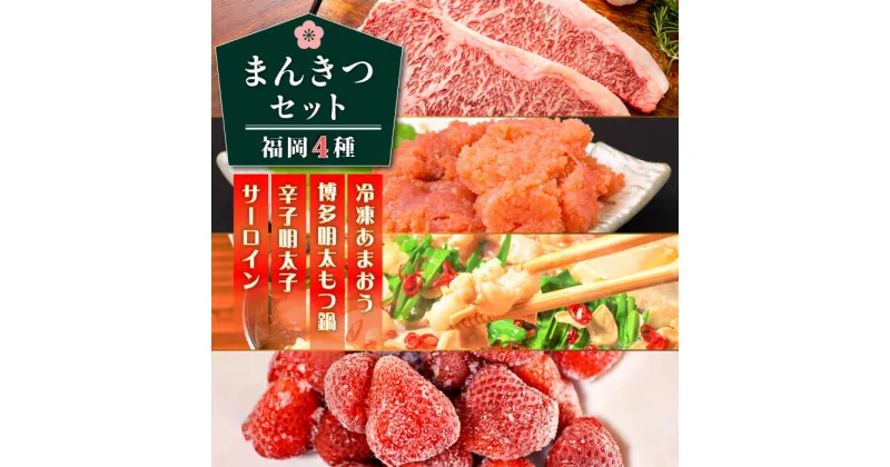 【ふるさと納税】福岡満喫セット 《築上町》【株式会社MEAT PLUS】45000円 [ABBP118]