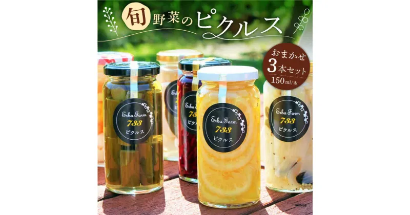 【ふるさと納税】【農家のこだわり野菜使用】おまかせ ピクルス 3本《築上町》【ERBA FARM733】11000円 [ABAP001]