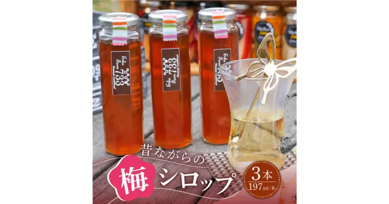 【ふるさと納税】【築上町産梅使用】昔ながらの 梅シロップ 3本《築上町》【ERBA FARM733】12000円 [ABAP004]